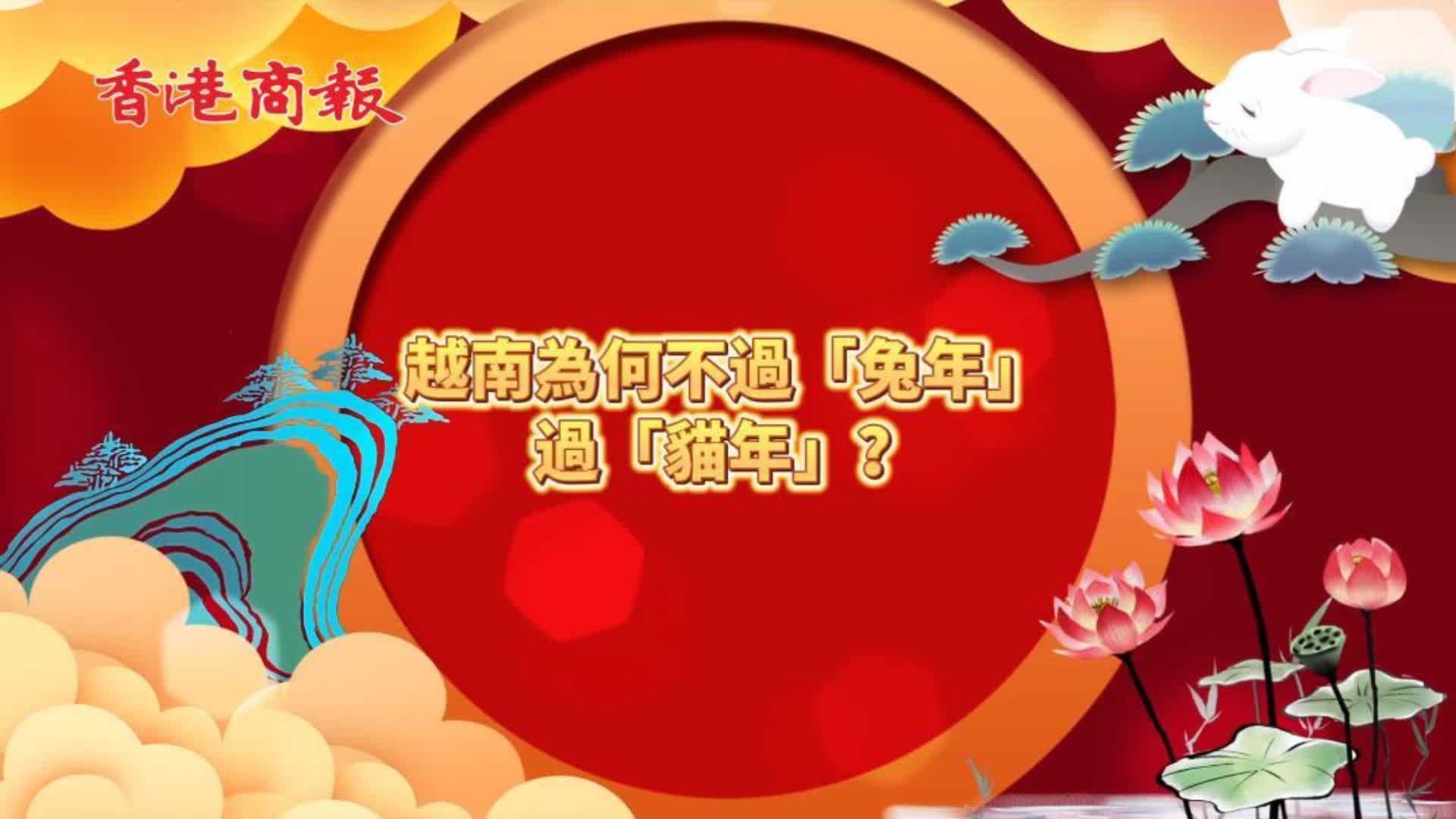 有片｜越南過年「以貓代兔」獨慶貓年