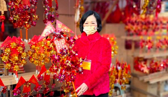 葉劉淑儀：本港逐漸復常 認為今年無須再派消費券