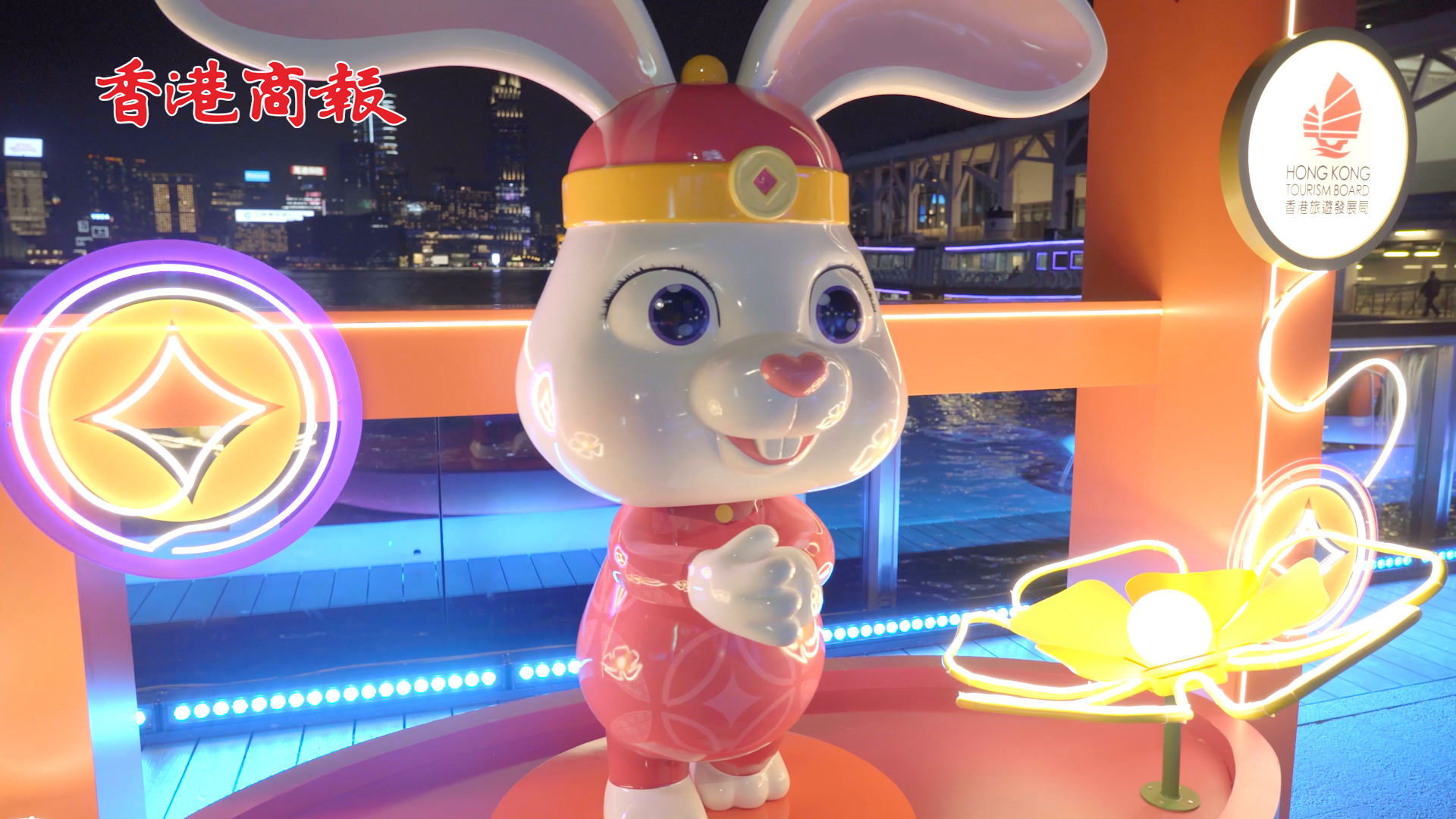 有片丨沿「兔」有你 同遊維港