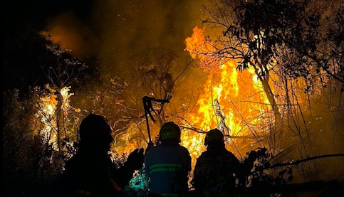 雞公嶺一帶發生山火 消防續撲救