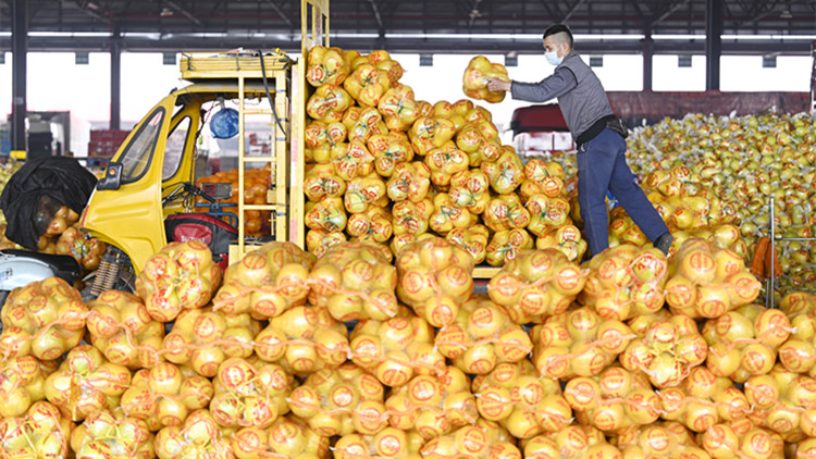 2022年我國農產品網絡零售增勢較好