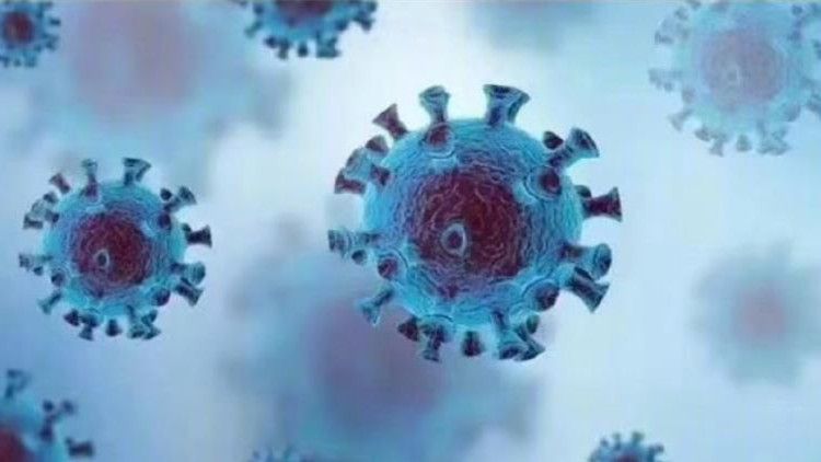 中疾控：CH.1.1短期內不會在中國本土引起大規模流行