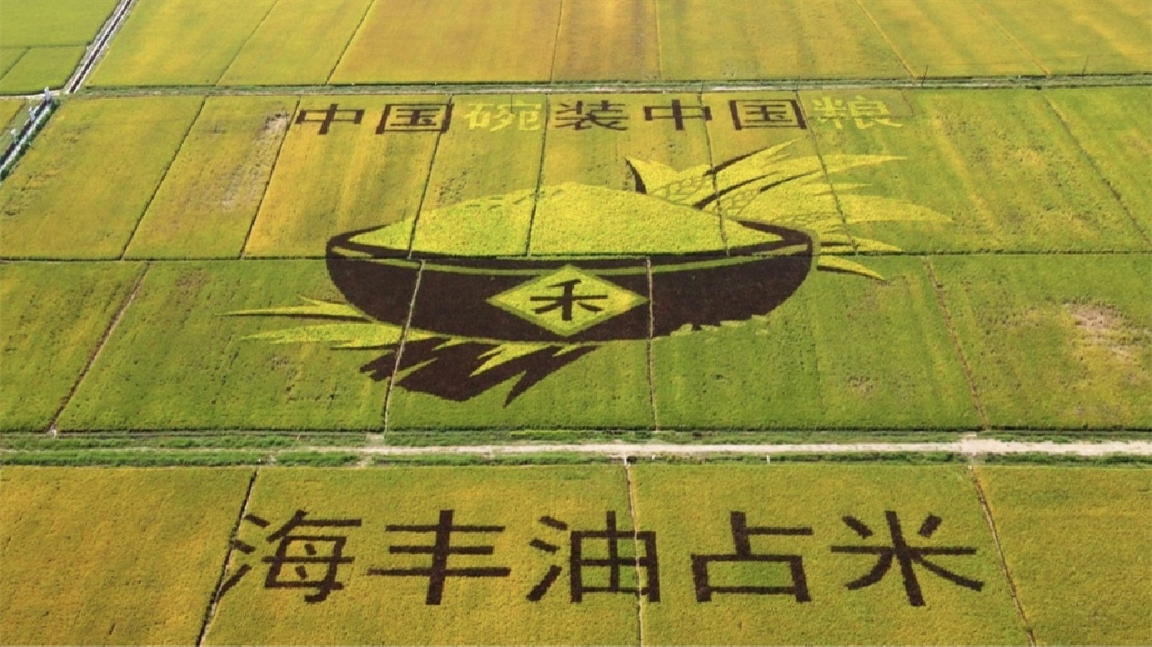 汕尾海豐獲評2022年全國縣域農業農村信息化發展先進縣