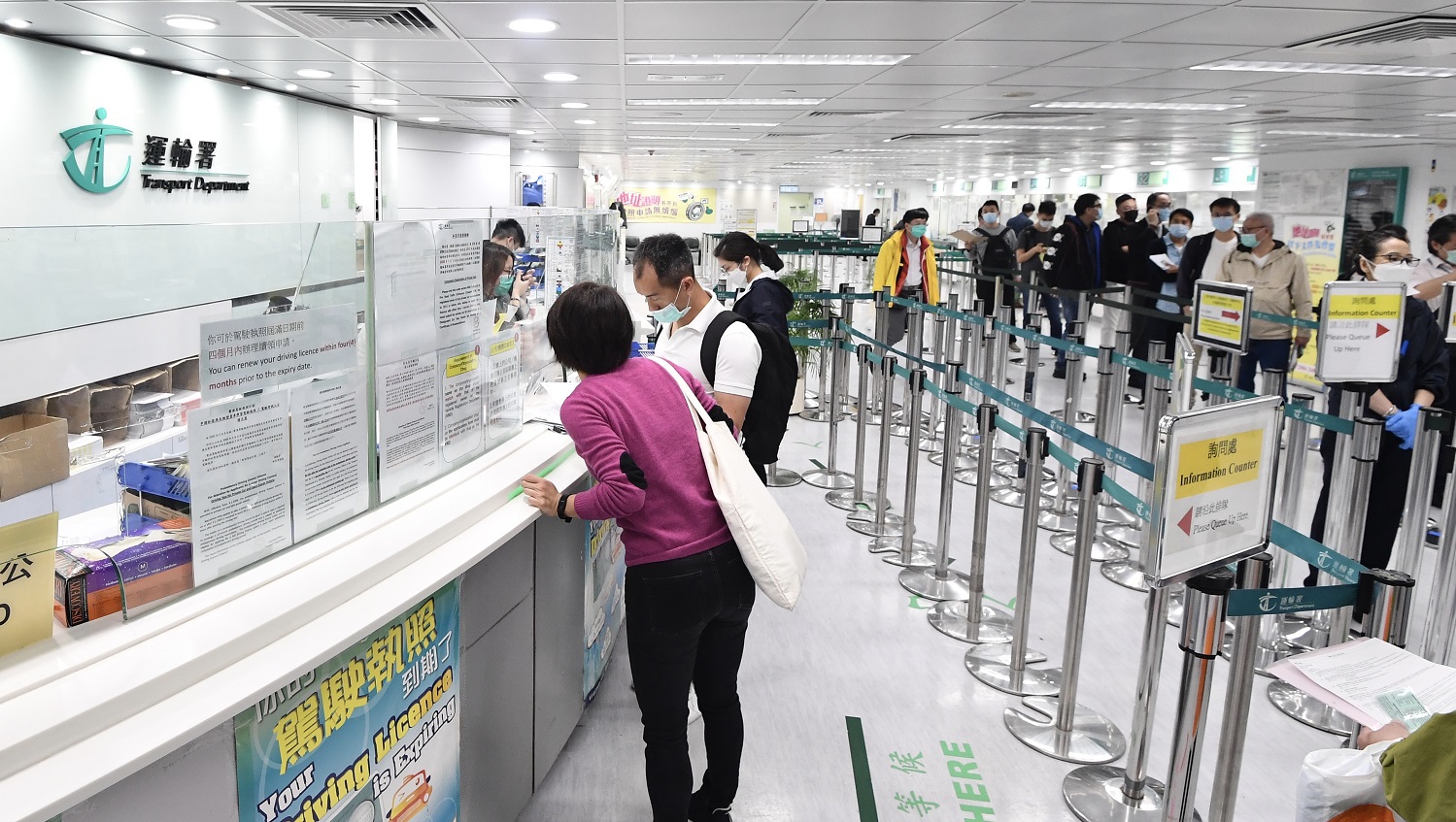 運輸署推牌照特別安排 籲車主毋須預算案前趕續牌