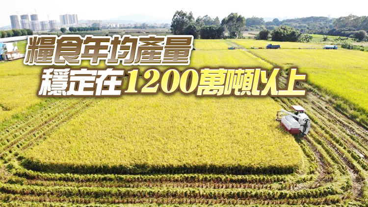 廣東糧食播種面積呈恢復性增長 單產和總產穩步提高