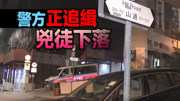 KOL張欣欣男友街頭捱斬身中多刀 警方反黑組接手調查