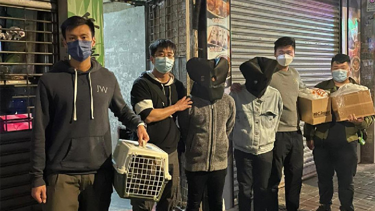 油麻地果欄發生偷貓案  警方拘兩男尋回花貓