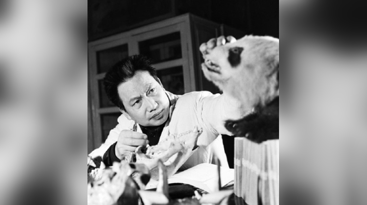 「中國大熊貓之父」 胡錦矗去世 曾組織我國第一次大熊貓調查