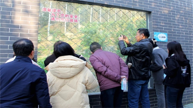 粵港澳大灣區人才韶關行 感受華南虎的魅力
