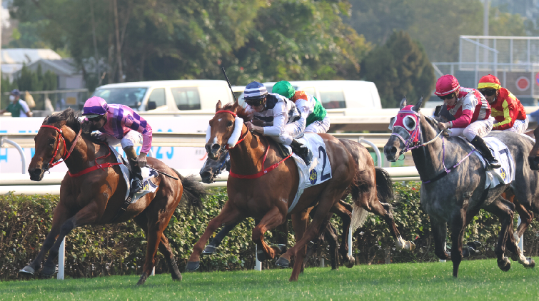 有片 | 一眾藝人欄邊睇馬場面墟冚 健康快駒勇奪TVB盃