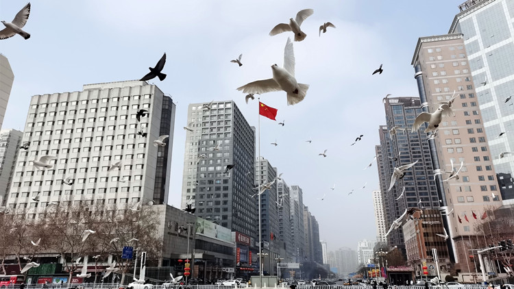 1月重點城市空氣質量排名公布 河北各城市空氣質量有明顯提升