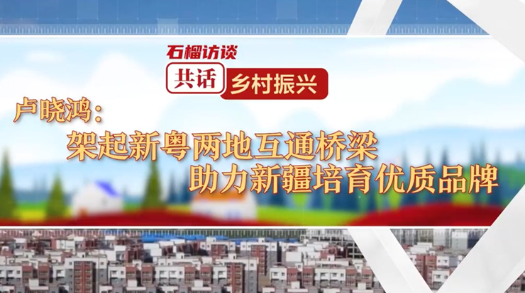 有片丨盧曉鴻：架起新粵兩地互通橋樑 助力新疆培育優質品牌