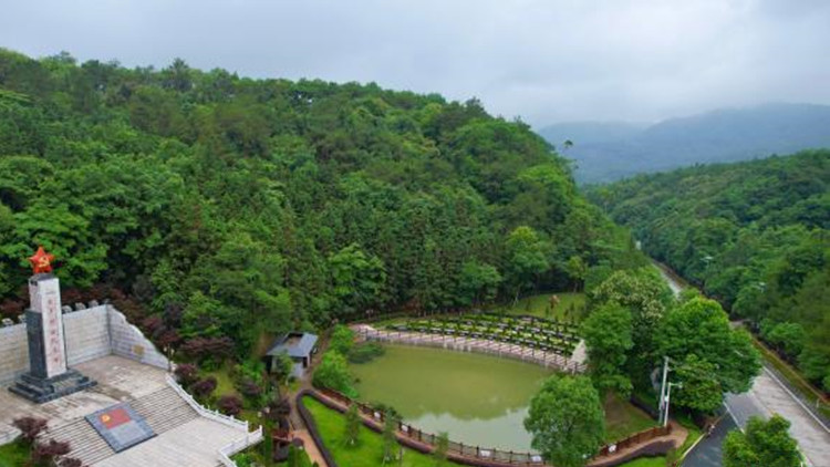 打卡又有好去處！廣東發布10條「南粵紅綠徑」特色線路