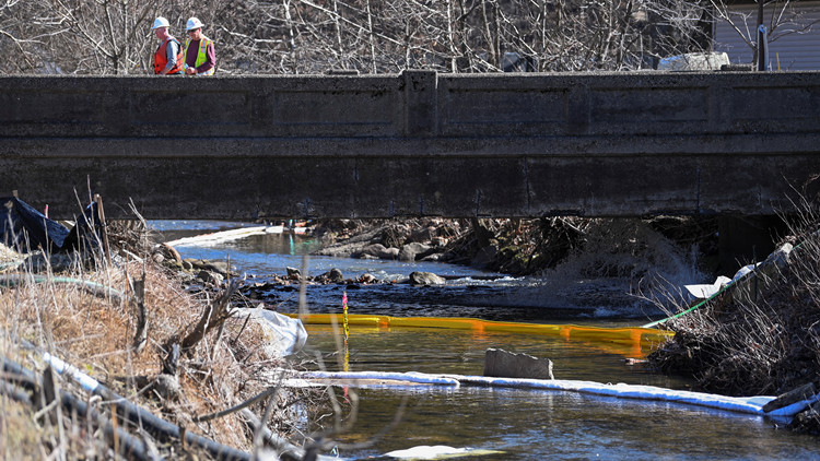 美國「毒火車」事件造成近4.4萬隻動物死亡