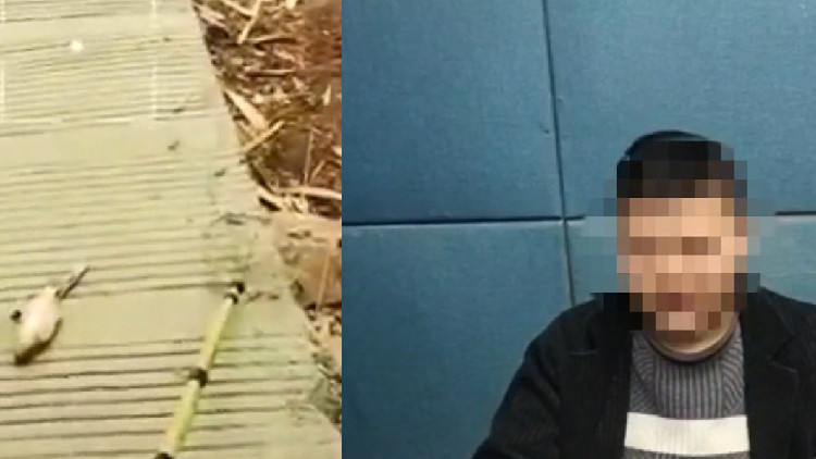 四川一男子在自家魚塘電魚被罰500元 警方撤銷處罰並道歉