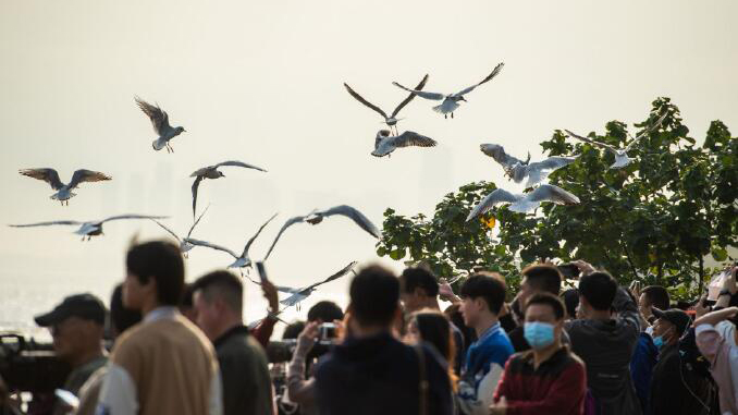 深圳公園停車場年內將全部實現一鍵預約