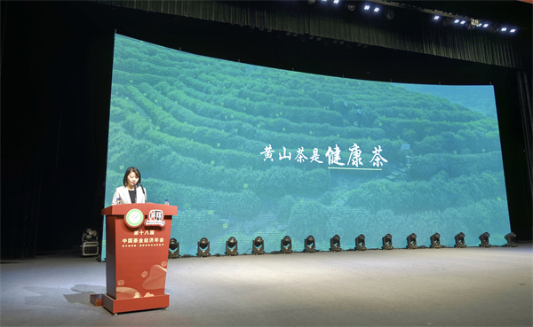 飲譽西北迎客天下   黃山5區縣躋身「茶業百強縣域」名單