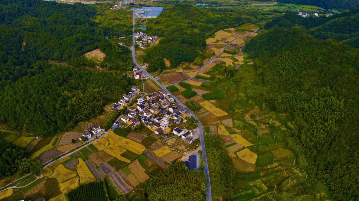 皖黟縣西遞鎮：做活「五綠」文章  賦能鄉村振興