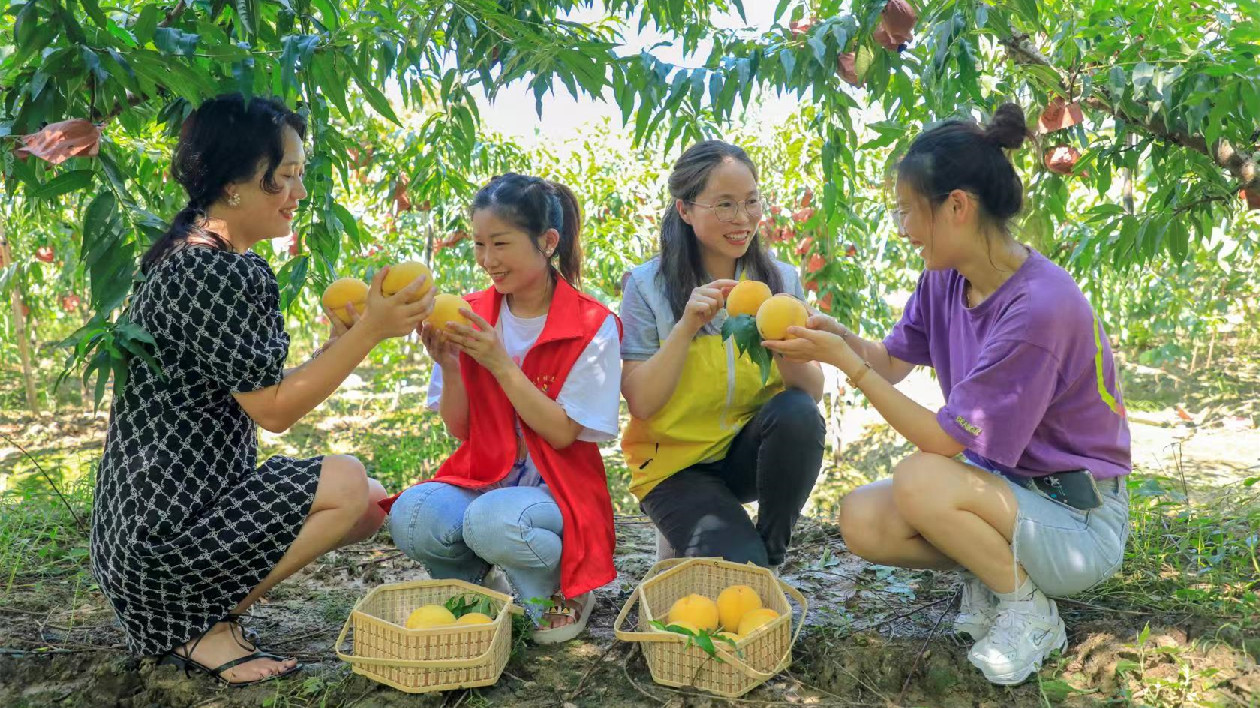 歐陽華：建議利用好直播帶動群眾返鄉就業創業