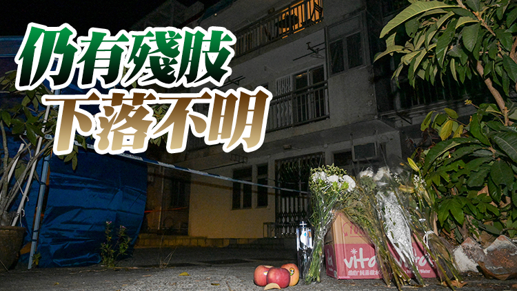 名媛碎屍案丨消息指大埔龍尾村檢獲的殘肢 與蔡天鳳DNA脗合