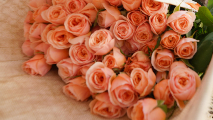 六部門首次發布操作指南保障女職工權益