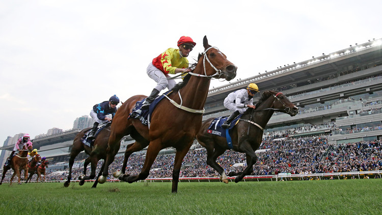 廣州計劃打造世界級穗港馬產業經濟圈