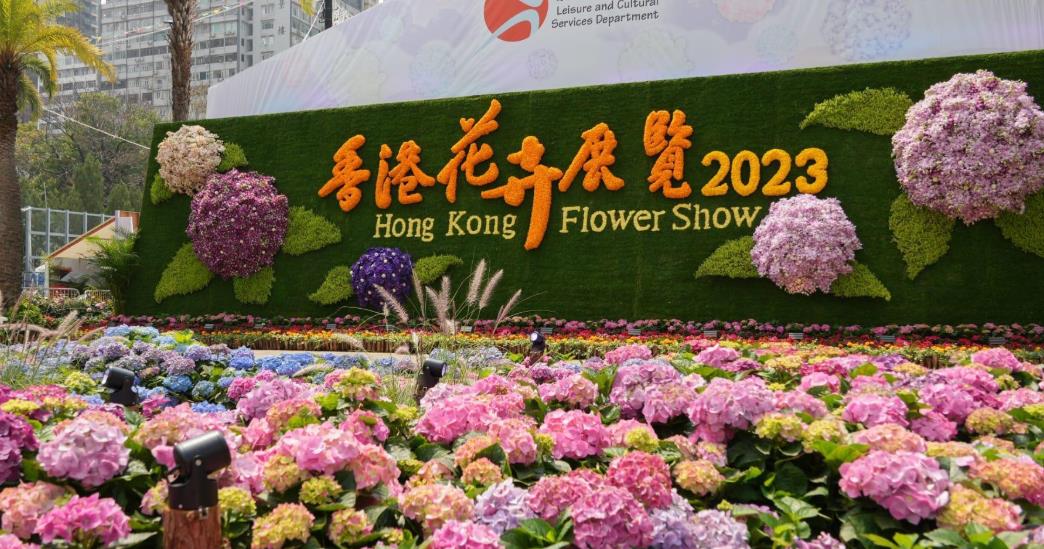 花展派花活動結束 康文署籲市民不要前往維園排隊