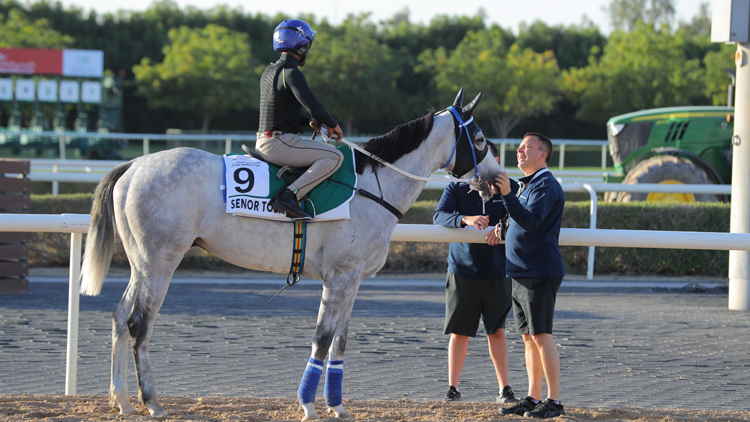 圖集 | 方嘉柏親接多巴先生拍馬頭以示獎勵 將王今早未有露面 韋達講解因由