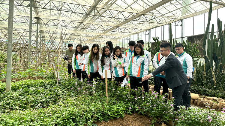 「粵港澳大灣區交流考察團」感受供港農產品生產