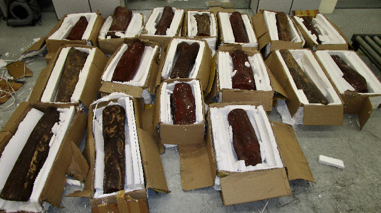 男子利用空運貨物走私檀香紫檀木判囚15個月 海關歡迎裁決