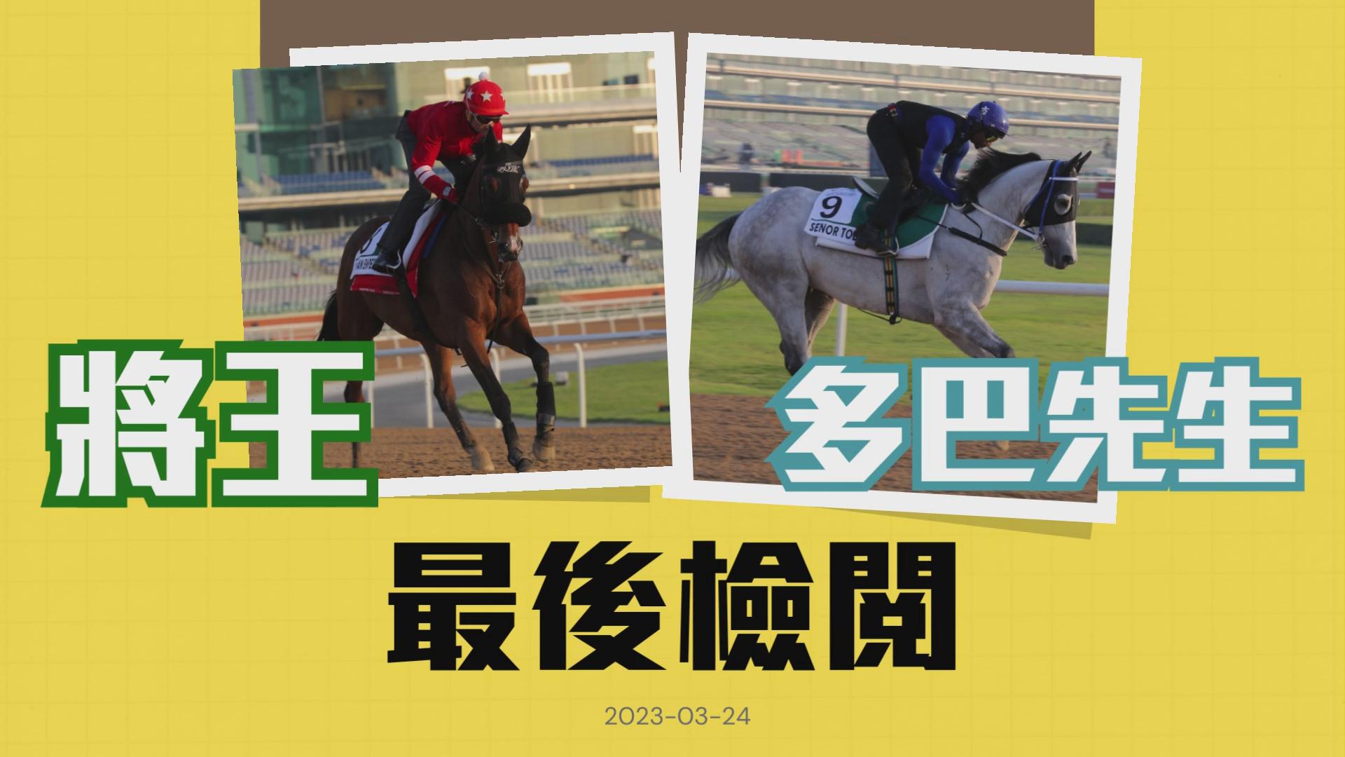 商報杜拜直擊丨【有片】港隊5駒作最後檢閱 周俊樂現身講韋小寶戰略