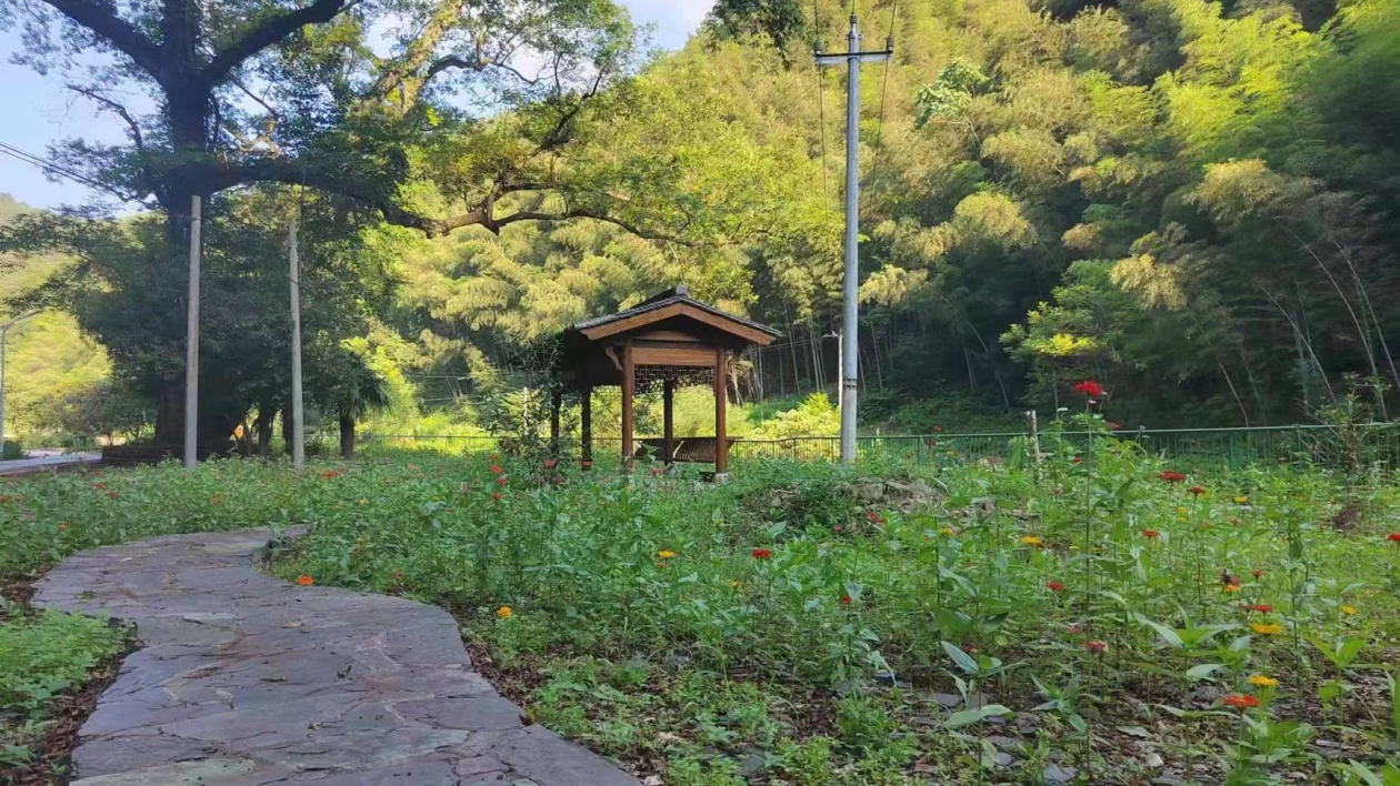 皖黟縣：打響人居環境整治「春季戰役」