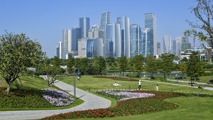 中國僑聯來深調研