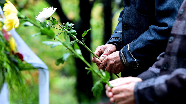 深圳市南山區 「低碳祭掃 綠色清明」倡議書