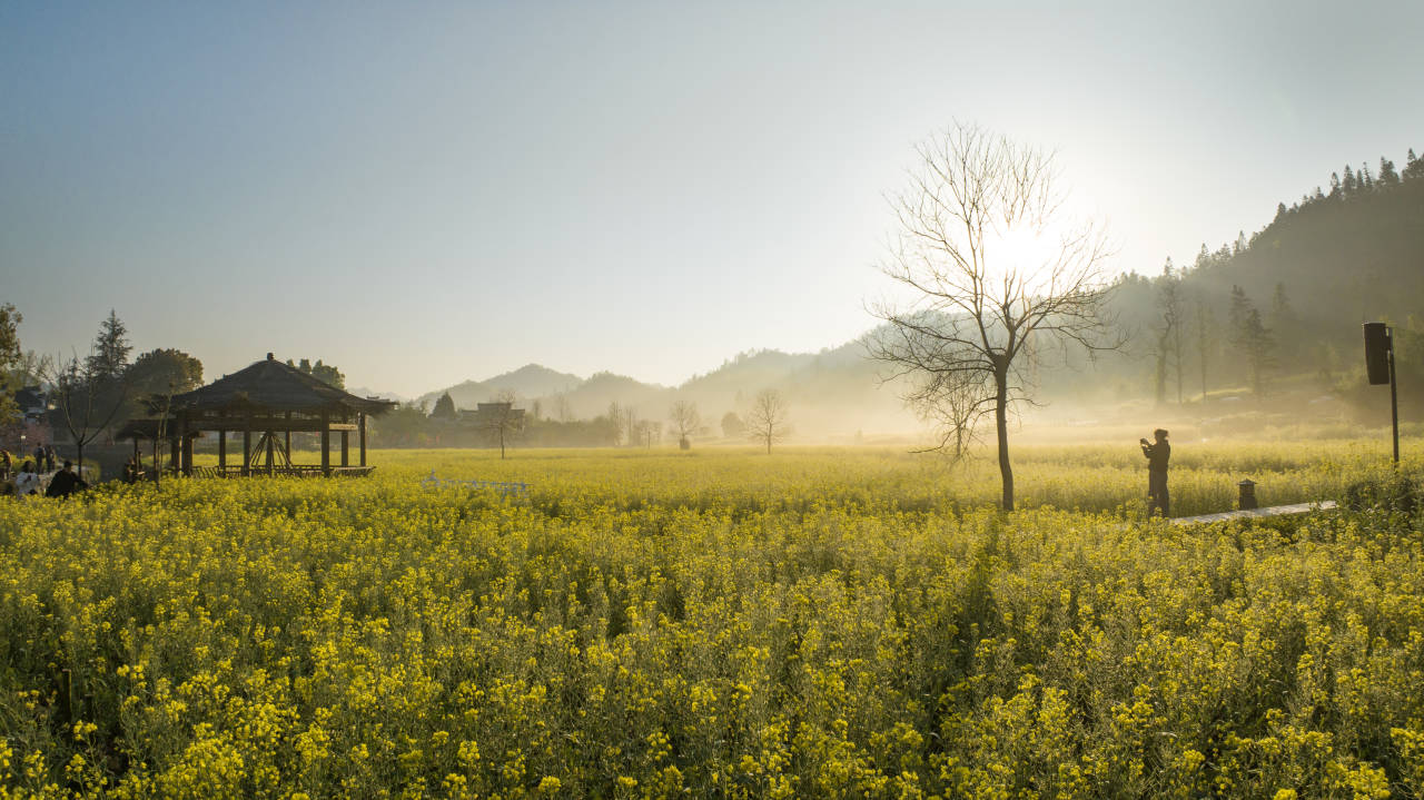 皖黟縣西遞鎮：「內外兼修」賦能鄉旅振興