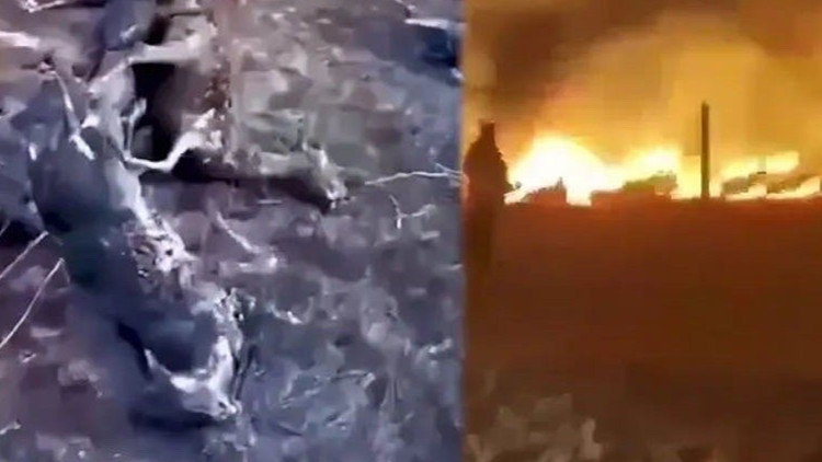 蒙古國發生草原火災 大量牲畜被燒死