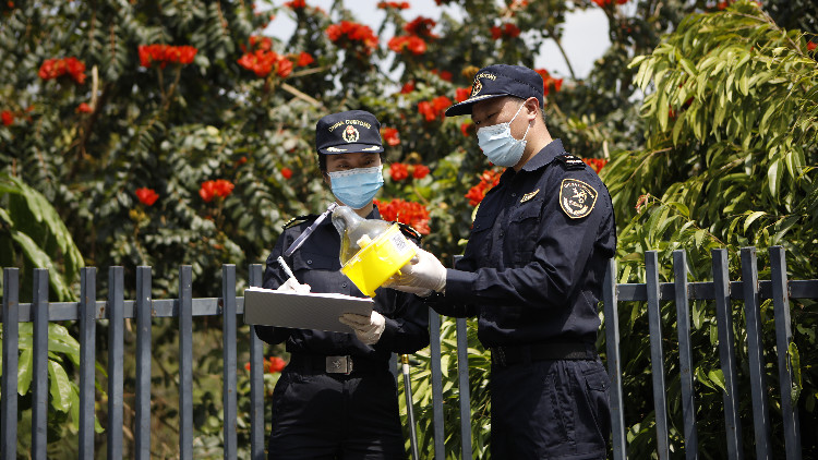 深圳海關非貿渠道截獲外來物種種次居國內第一