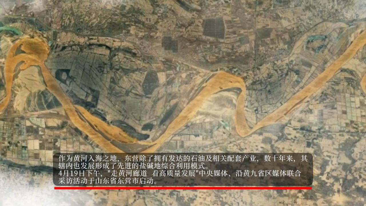 工業血液與智慧糧倉：山東東營的「糧油」產業