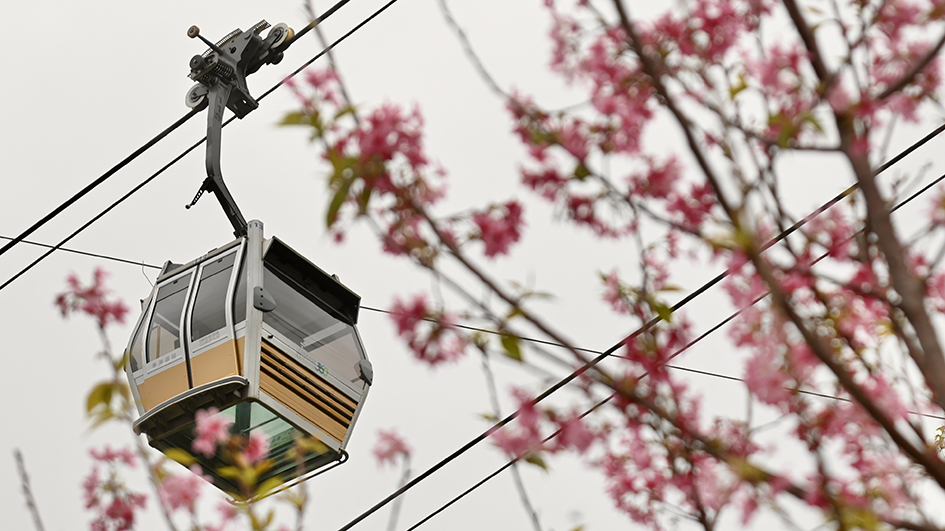 昂坪纜車服務將於5月9日至12日暫停