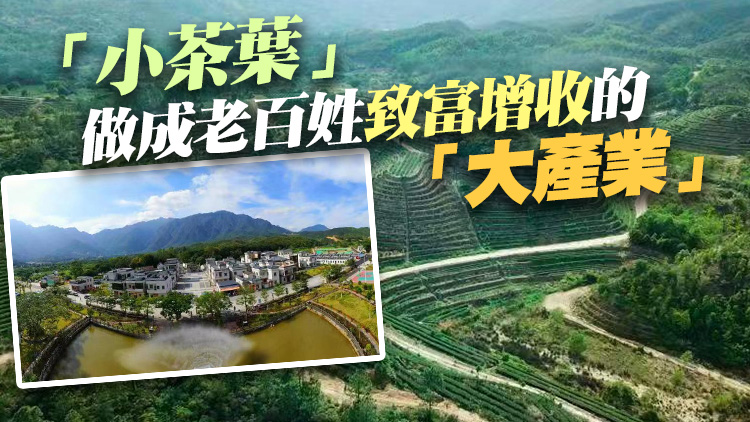 汕尾海豐：全面推進「百千萬工程」 繪就鄉村振興新畫卷