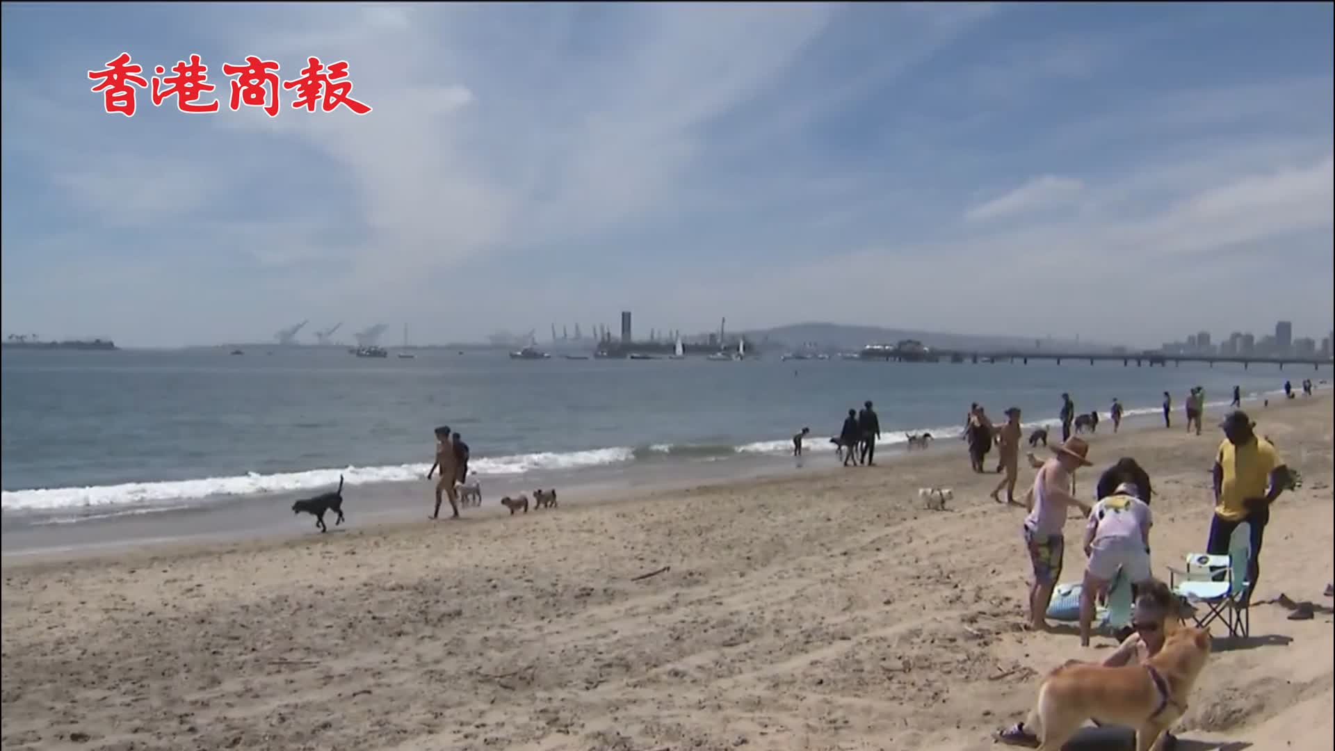 有片｜美國加州25萬加侖污水洩漏 致公共海灘關閉