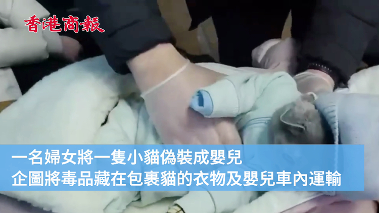 有片｜女子用貓偽裝嬰兒運毒被捕 貓咪：我可不幫忙做違法的事