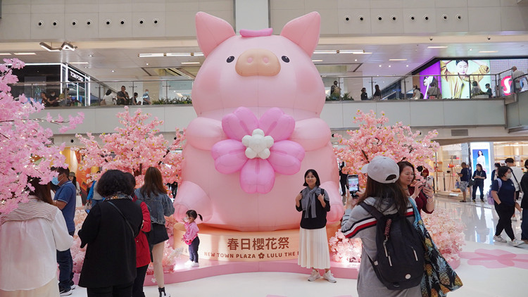 圖集｜超人氣LuLu豬登陸新城市廣場 七大打卡位引爆少女心