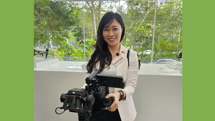 陳穎欣支持政府的「地方行政檢討」