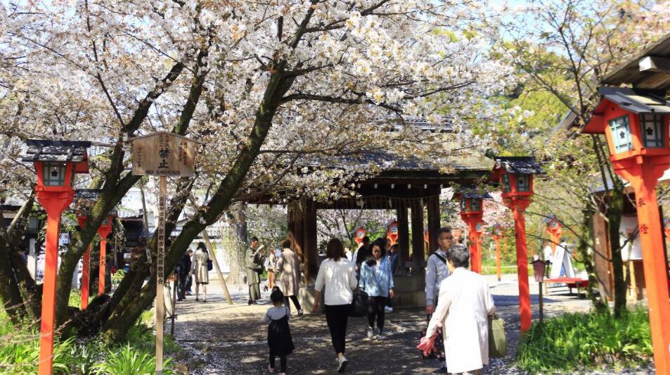 日本提前鬆綁邊境 明起毋須出示新冠疫苗紀錄或陰性證明