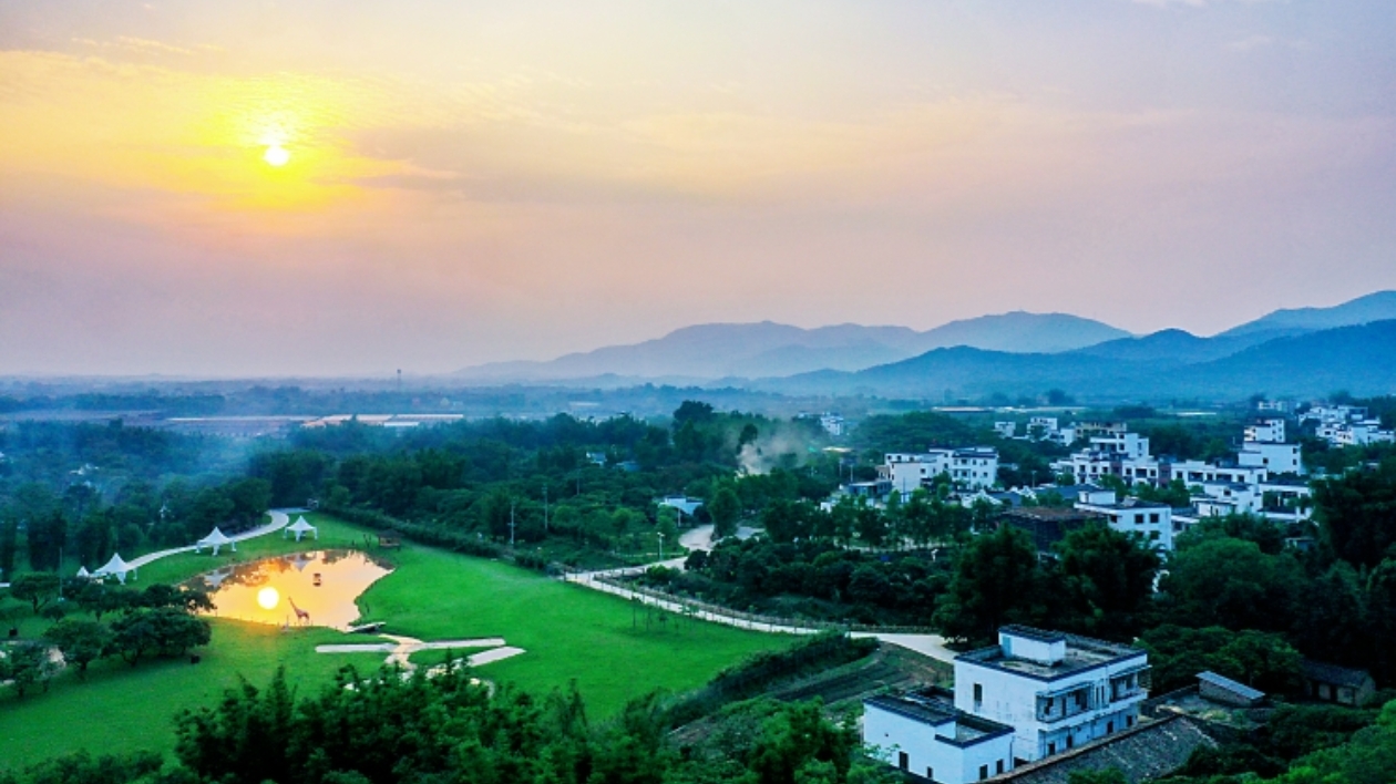 廣州市首宗鄉村振興「點狀供地」項目落地從化