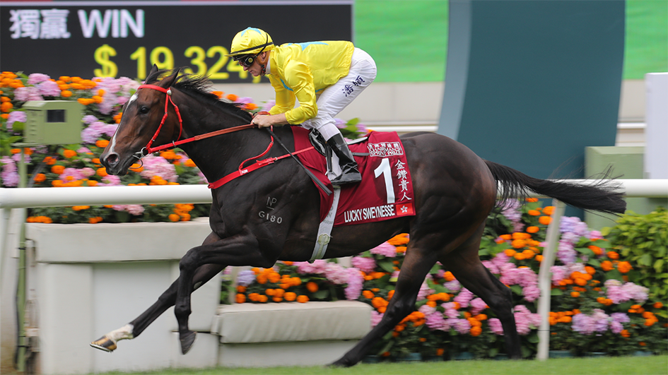 有片｜輕勝主席短途獎連過三關 金鑽貴人膺3冠短途王贏多500萬獎金