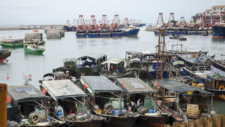 2023年伏季休漁今天正式開始