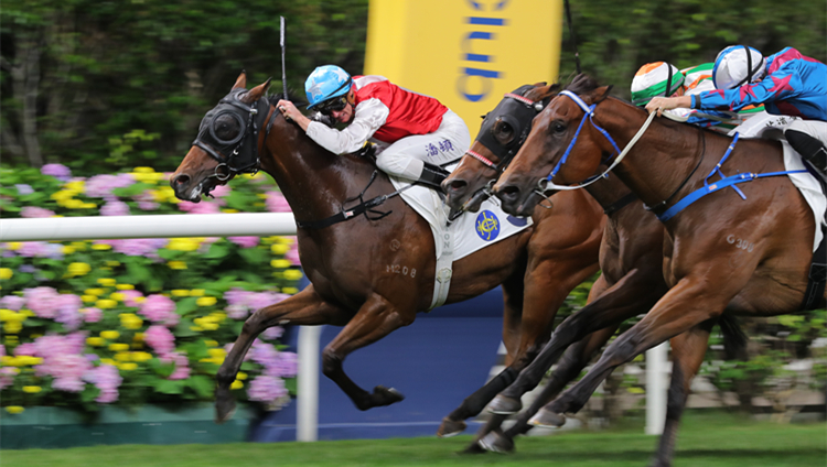 有片 | 萬眾開心打開勝門 譚校長笑言隻馬同我一樣勝在勤力