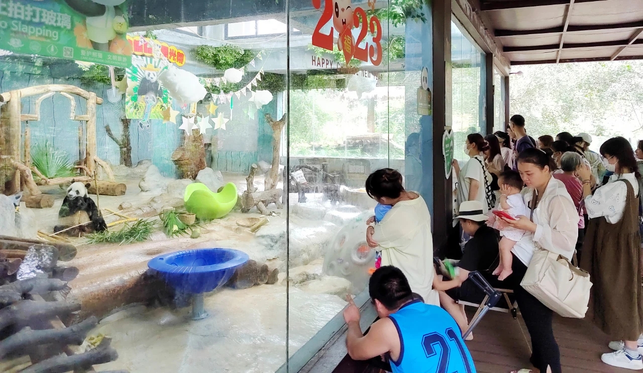 海南「五一」假期迎客320餘萬人次 同比增長141.5%